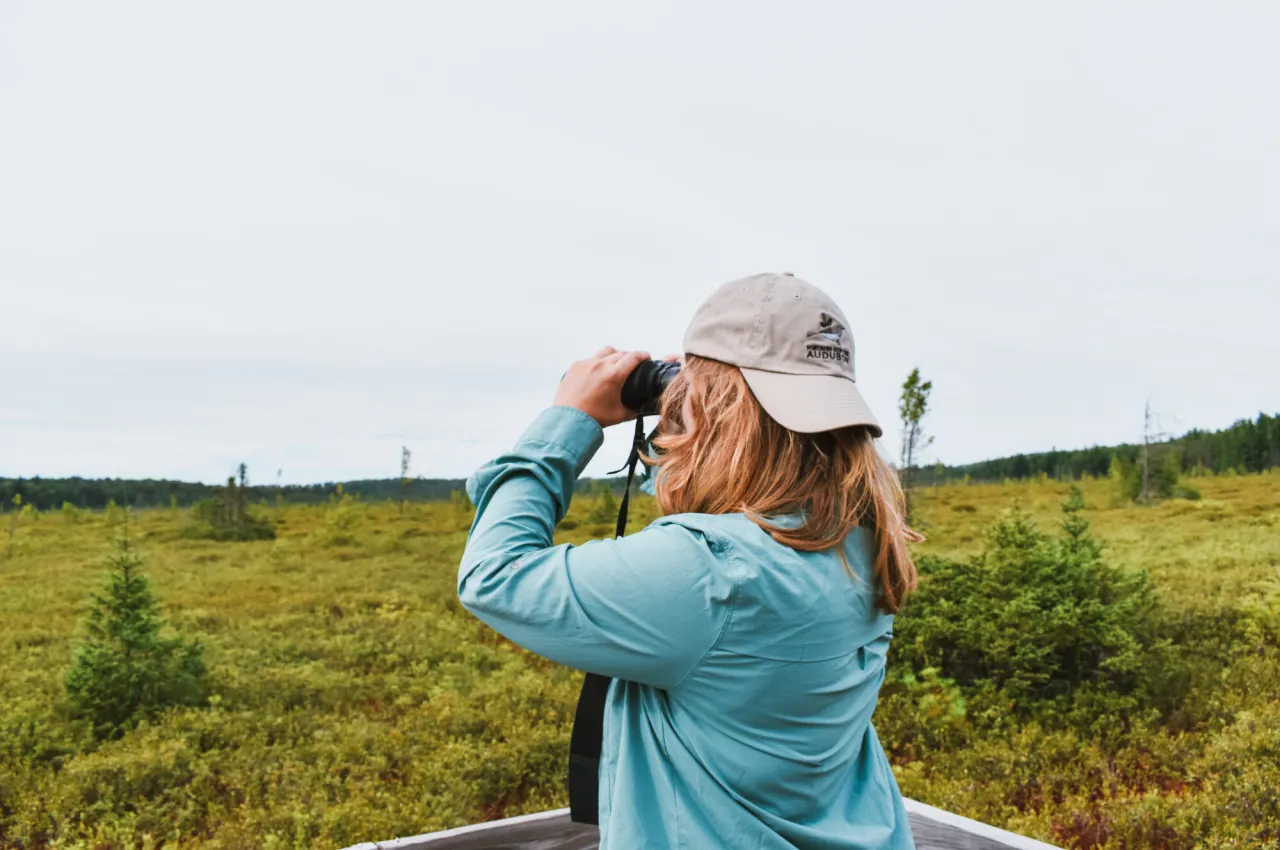 A birder looks over a green bog with a pair of binoculars.