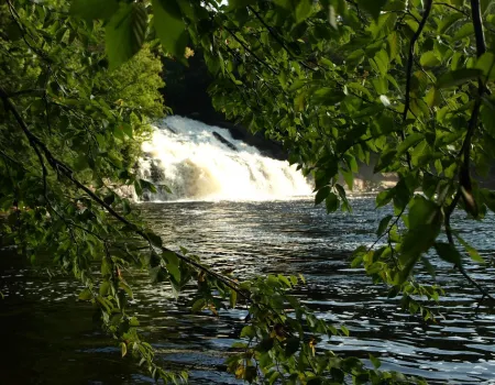 A waterfall seen through the trees