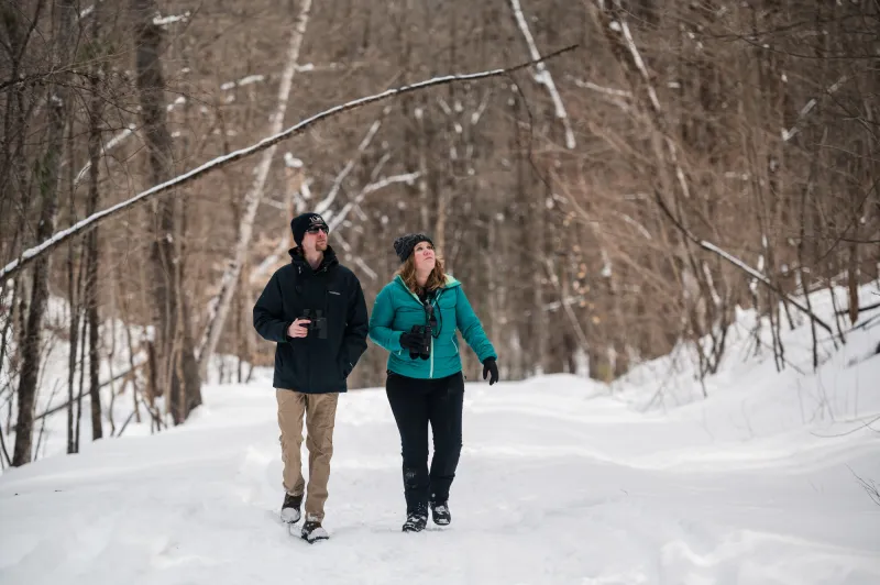 A man and woman walk on a snowy path in winter birding.