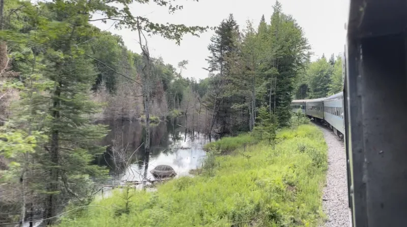 A train extends into the distance on the right, while on the left a calm swamp is surrounded by trees.