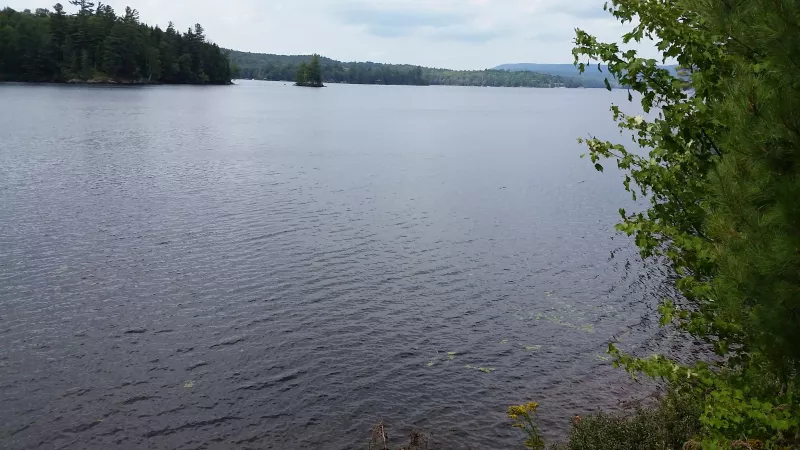 Just look at this view of Tupper Lake!
