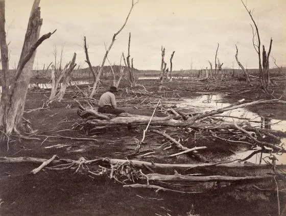 “The Drowned Lands of the Lower Raquette” is a photograph by Seneca Ray Stoddard taken in 1888.