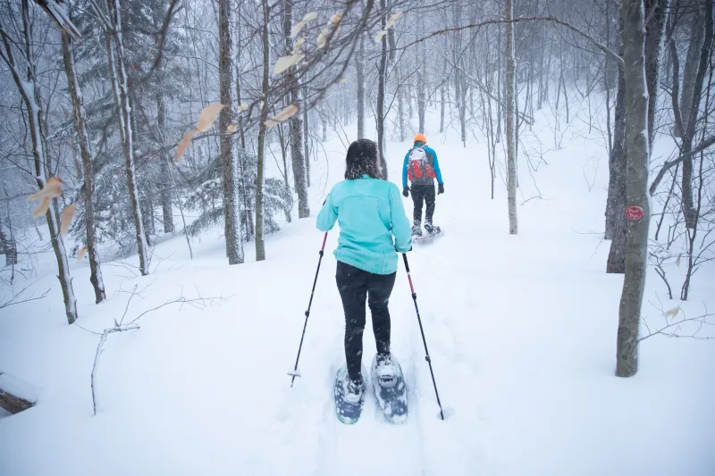 Snowshoeing through the woods in Tupper Lake.