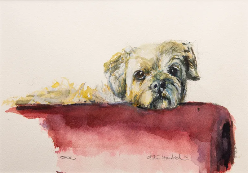 Watercolor portrait of Jack, the family's dog. Image courtesy Leigh Hornbeck