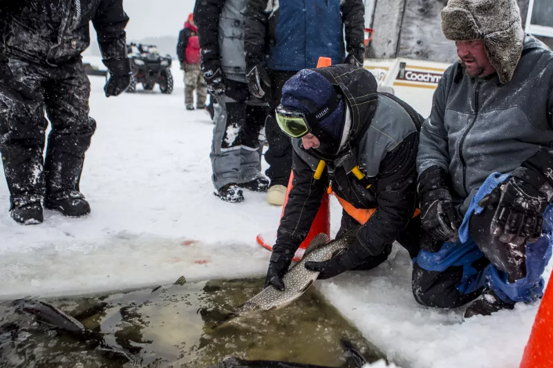 A man releases a caught fish back into the water through a hole in the ice.