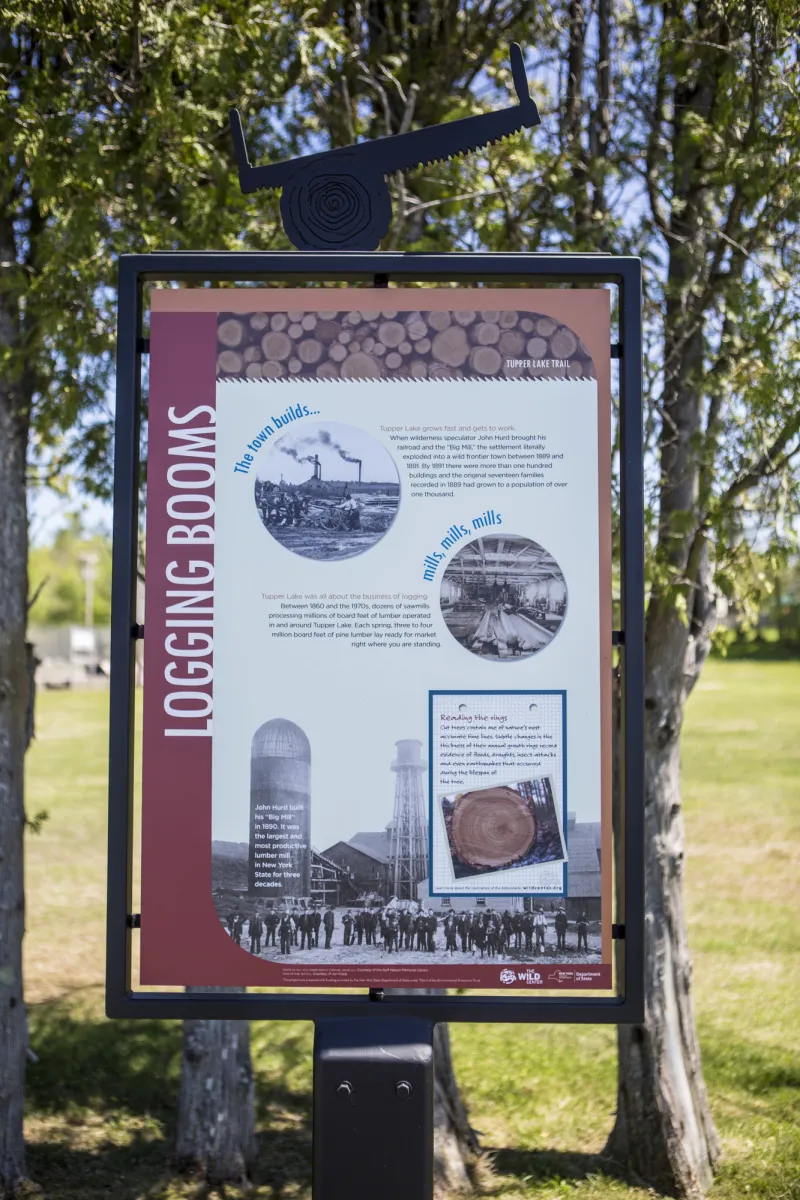 An illustrated history display alongside a trail, with trees in the background.