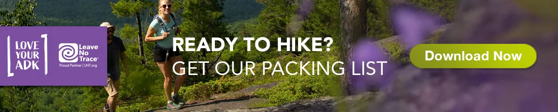 Love Your ADK Hiking 101 banner showing two people hiking up a low-grade slope surrounded by summer foliage