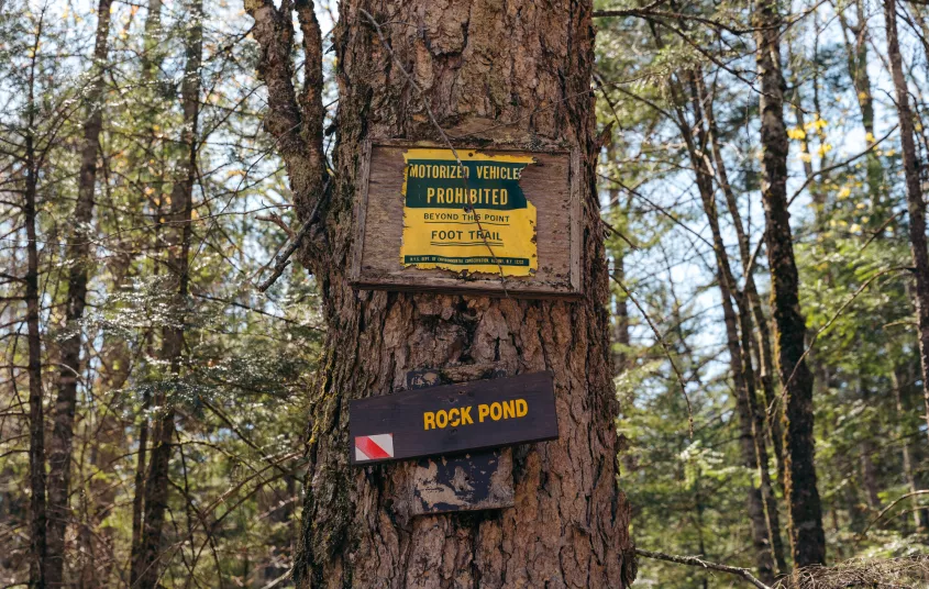 A yellow and brown sign for rock pond on a tree
