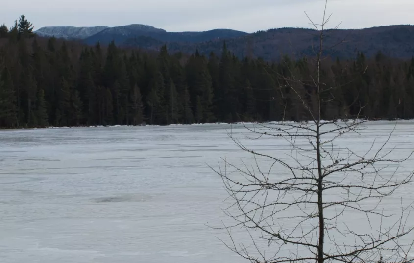 An ice covered pond with mountains in the background