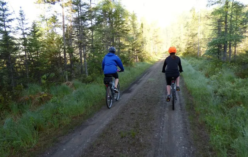 Ride deep into the Horseshoe Wild Forest.
