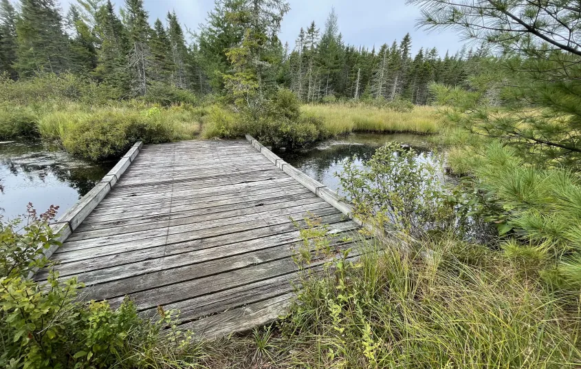 A wooden bridge cross a river.