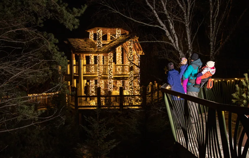 A group of people enjoying the outdoor winter exhibit&#44; Wild Lights