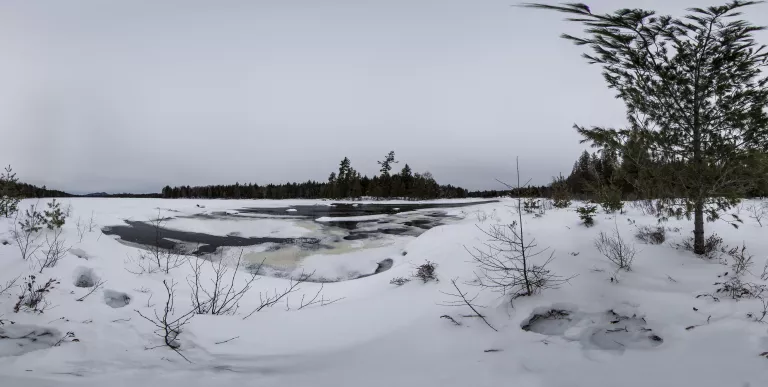 Winter brings lovely views of the Raquette River.