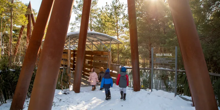 A group of children enter The Wild Walk in the winter