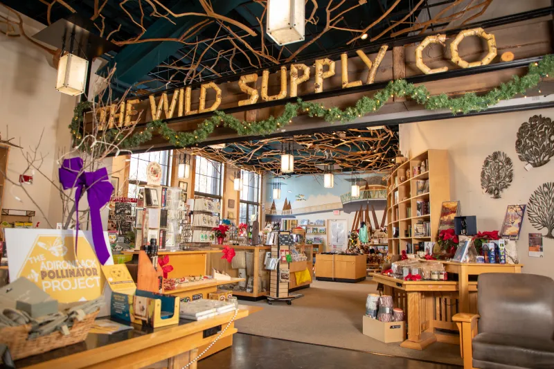The Wild Center gift shop with built in bookshelves and decorative tree features.
