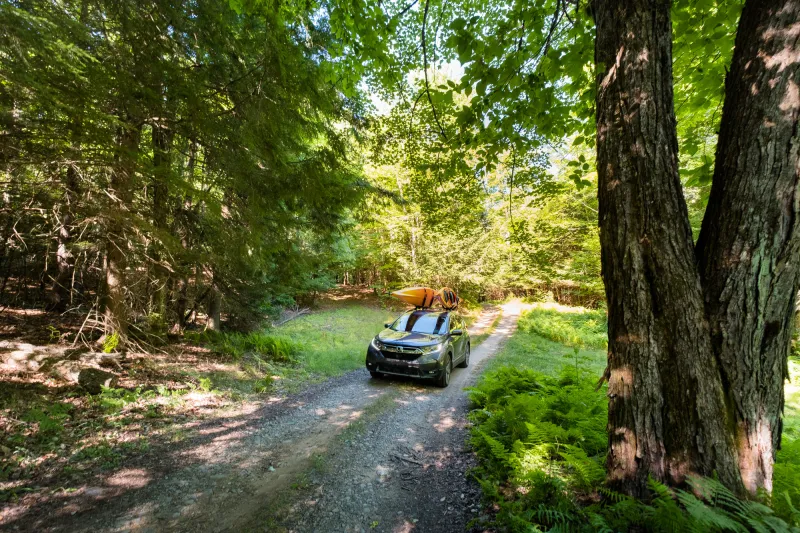 A car with two kayaks on top driving down a dirt road