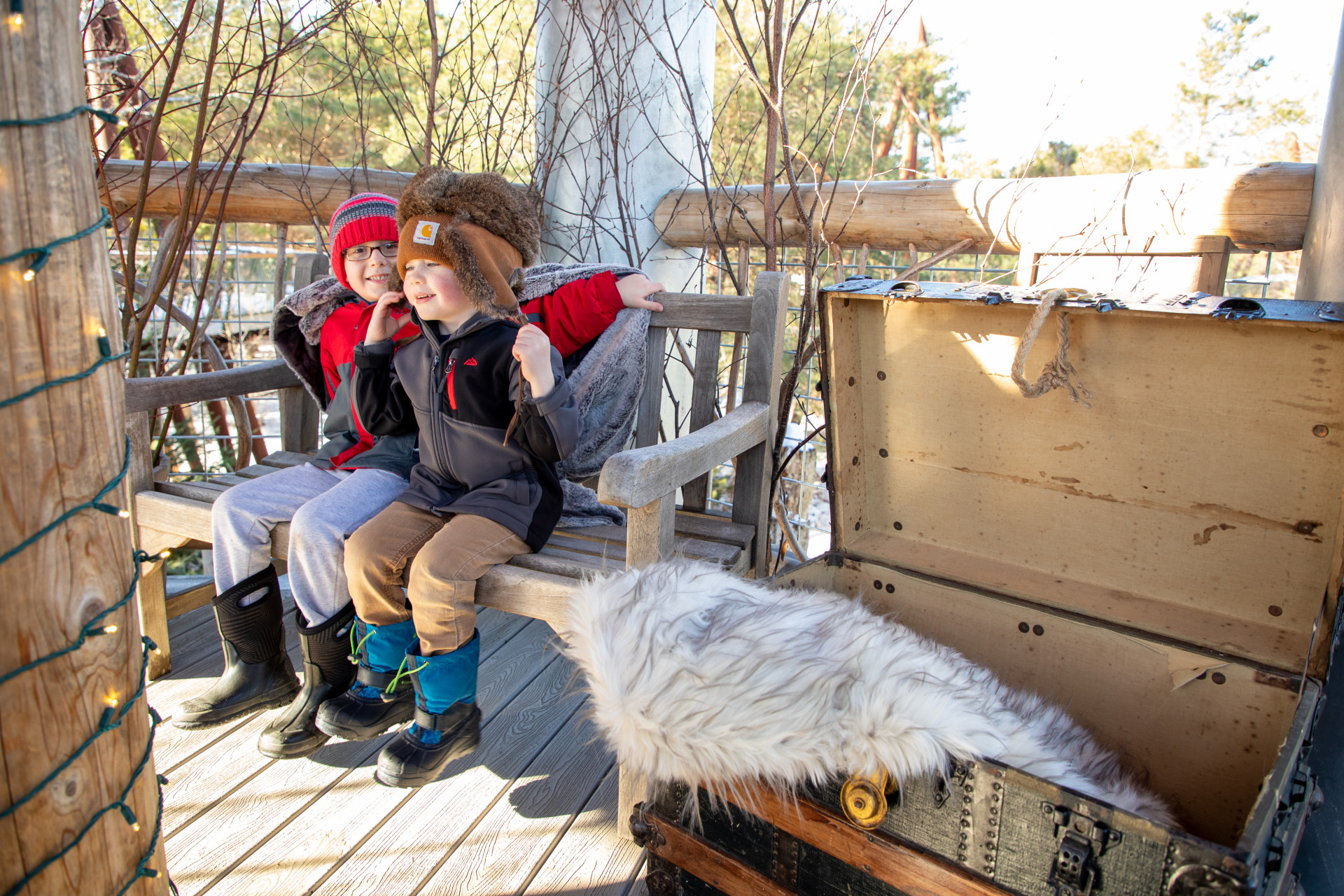 Learn to Love Winter at The Wild Center | Tupper Lake