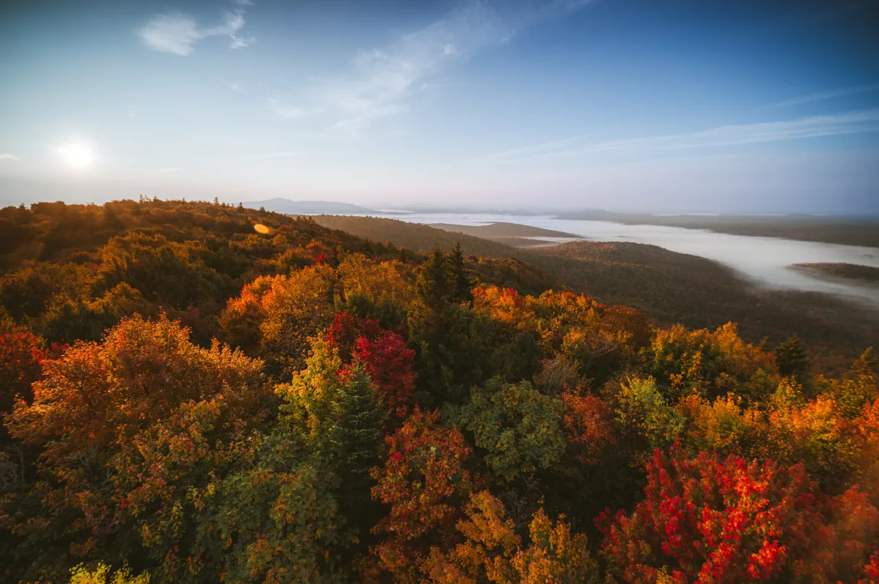 An aerial view of fall foliage in Tupper Lake.