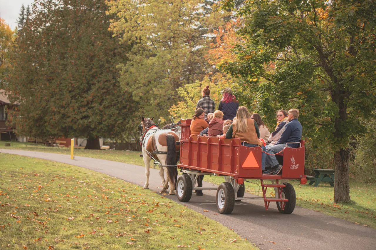 A family on a carriage ride at Tupper Lake's Oktoberfest.