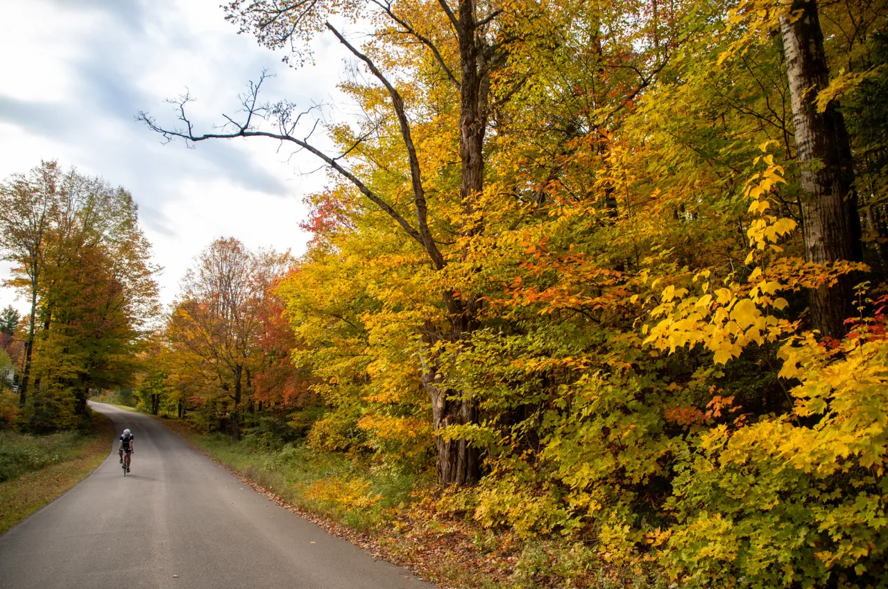 A biker on a fall road.