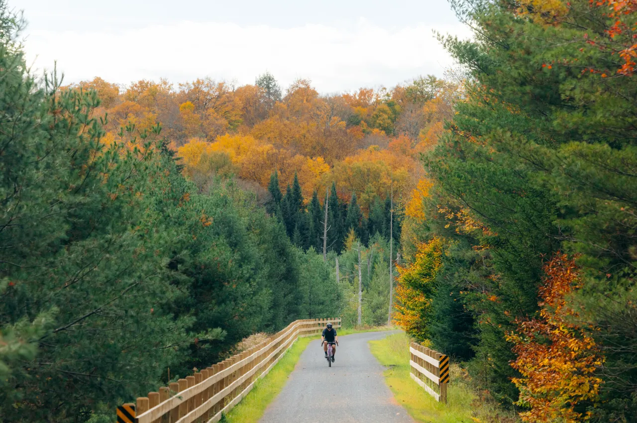 Adirondack Rail Trail biking in the fall.