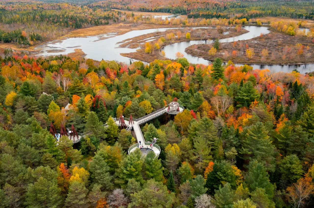 The Wild Center in the fall.