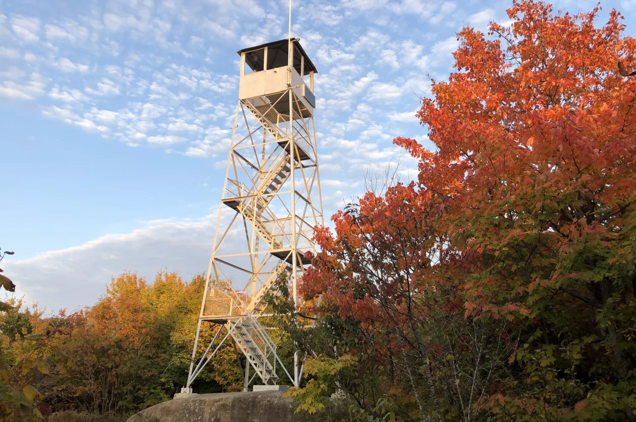 A metal fire tower stands out over foliage-covered trees on an Adirondack summit.