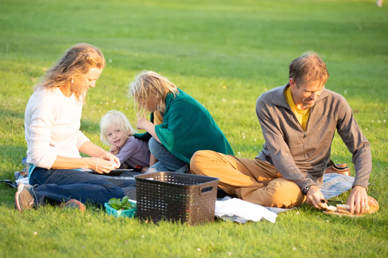 A family having a picnic.
