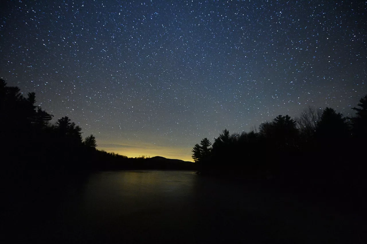 A sparkling night sky over a darkened landscape of trees and water.
