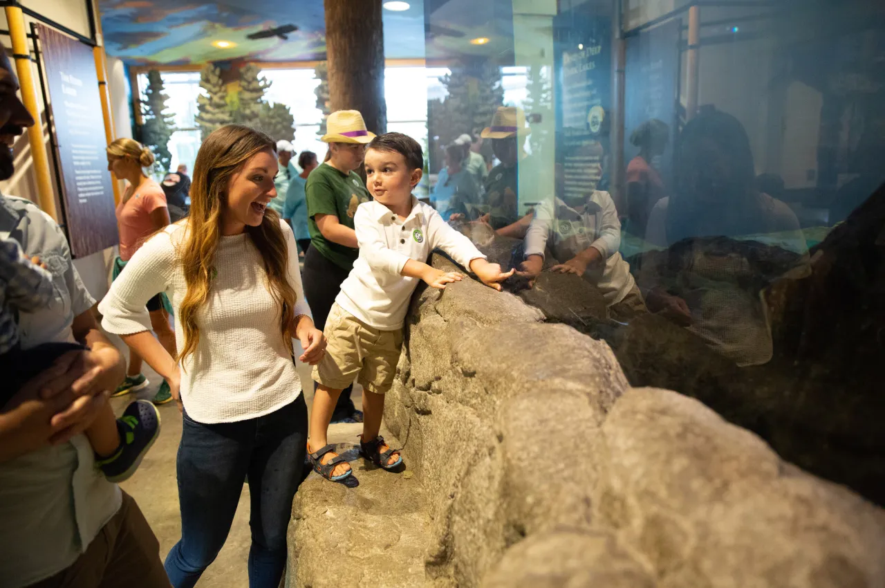 A woman and boy smile in front of an aquarium tank with a stone border