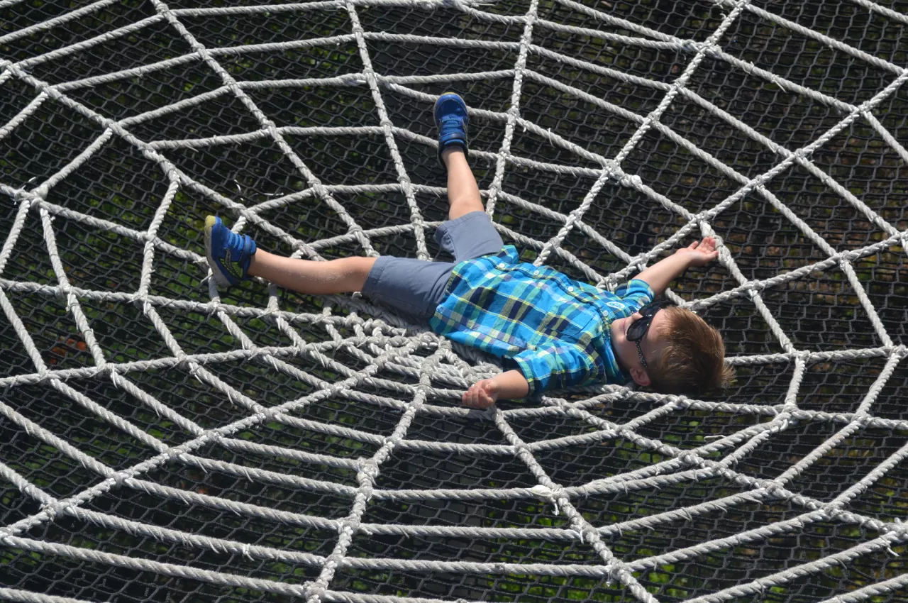 A child plays on a web woven above the ground at The Wild Center's Wild Walk.