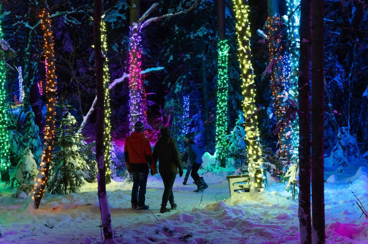 People in winter clothing walk through dark woods lit by trees covered in holiday lights.