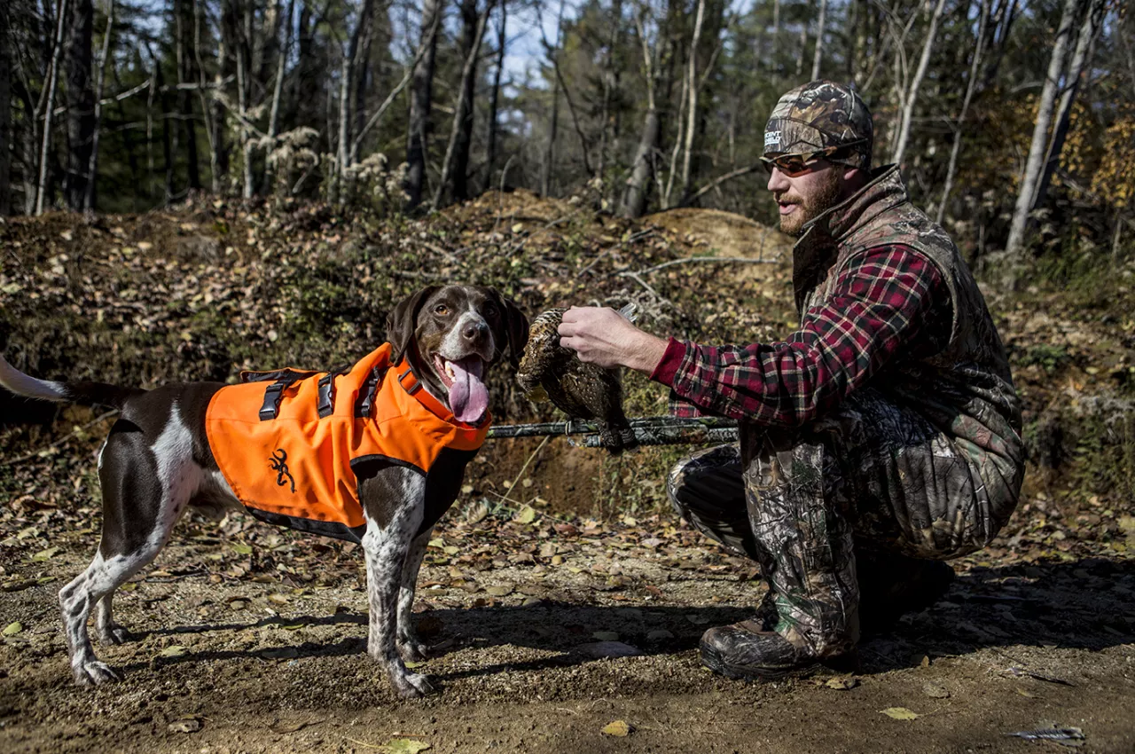 A man pets a hunting dog.