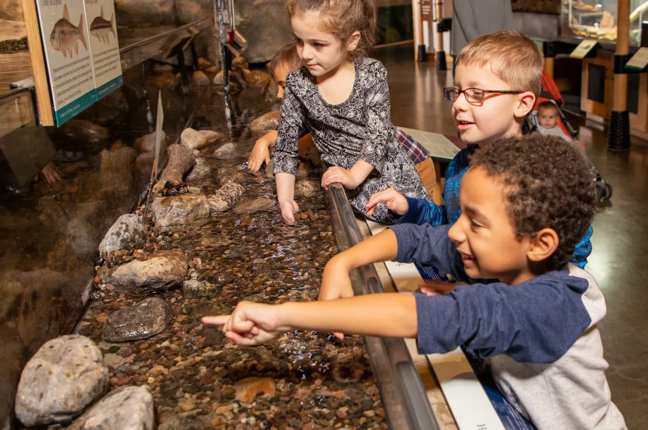 Three children smile while having their hands in the water of an interactive river exhibit.