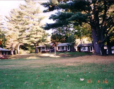 A brown house with white trim tucked in the pine forrest beyond a large lawn.