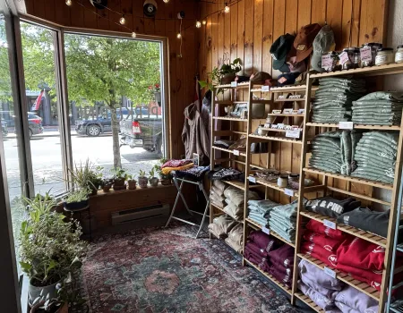 A sunroom with lush carpet
