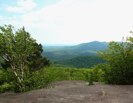 Jenkins has a nice view from a rocky summit.