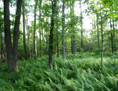 This trail can be a hike of any length