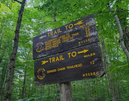 A wooden trail sign for the Blueberry lean-to