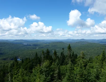 The view from the summit is beautiful.