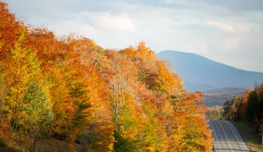 This wilderness area is a great place to view fall foliage.