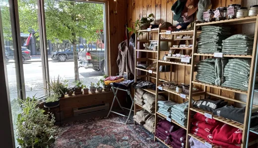 A sunroom with lush carpet