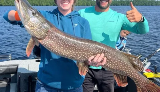 Two people holding a giant pike while giving thumbs up.