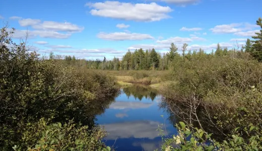 The unique beauty of Massawepie via land or water.