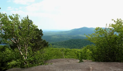 Jenkins has a nice view from a rocky summit.