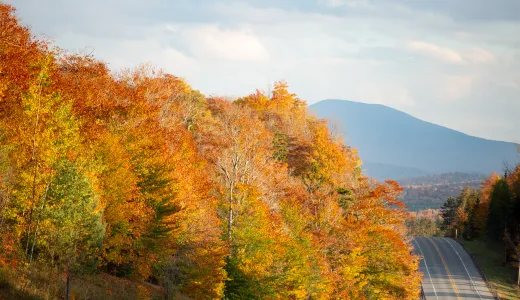 This wilderness area is a great place to view fall foliage.