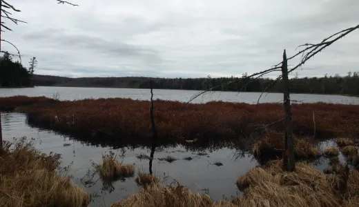 This scenic view includes a lean-to for camping.