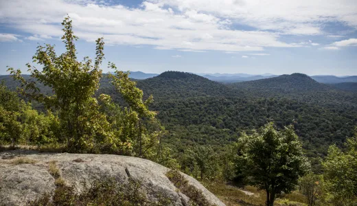 Summit views from Goodman Mountain