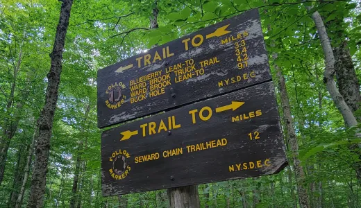 A wooden trail sign for the Blueberry lean-to