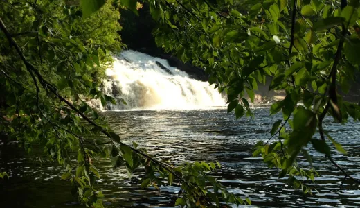 A waterfall seen through the trees